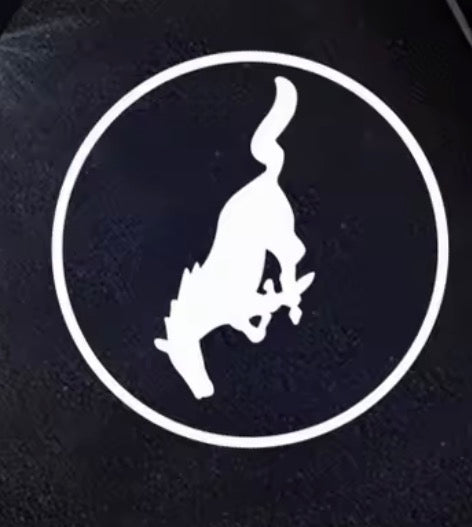 Logo lights ( Extra Designs)